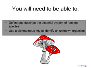 You will need to be able to:
• Define and describe the binomial system of naming
species
• Use a dichotomous key to identify an unknown organism

ClickBiology

 