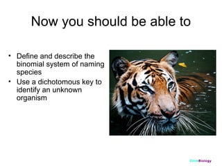 Now you should be able to
• Define and describe the
binomial system of naming
species
• Use a dichotomous key to
identify an unknown
organism

ClickBiology

 