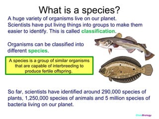 What is a species?
A huge variety of organisms live on our planet.
Scientists have put living things into groups to make them
easier to identify. This is called classification.
Organisms can be classified into
different species.
A species is a group of similar organisms
that are capable of interbreeding to
produce fertile offspring.

So far, scientists have identified around 290,000 species of
plants, 1,250,000 species of animals and 5 million species of
bacteria living on our planet.
ClickBiology

 