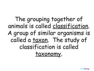 The grouping together of
animals is called classification.
A group of similar organisms is
called a taxon. The study of
classification is called
taxonomy.
ClickBiology

 
