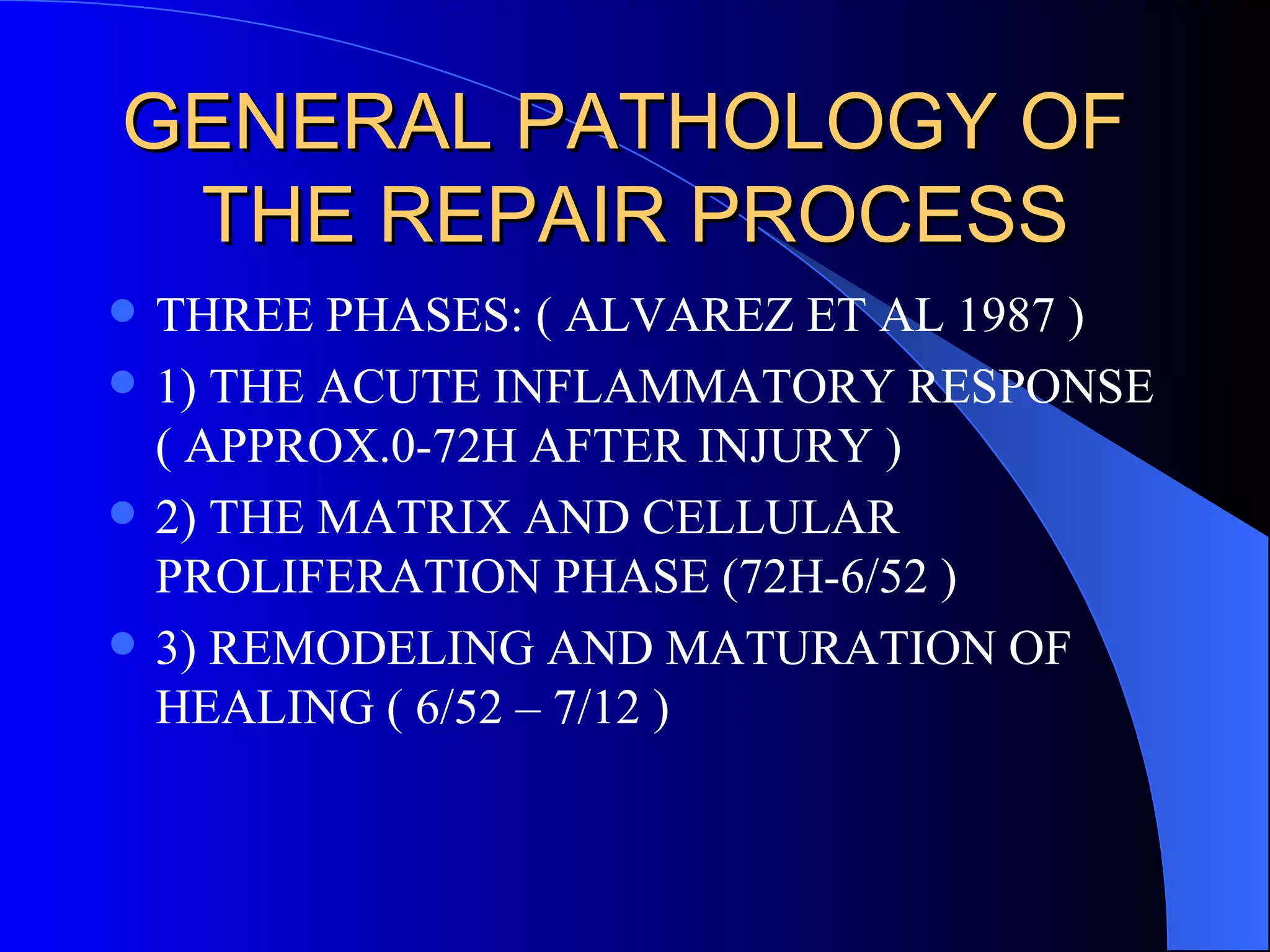 GENERAL PATHOLOGY OF  THE REPAIR PROCESS THREE PHASES: ( ALVAREZ ET AL 1987 ) 1) THE ACUTE INFLAMMATORY RESPONSE ( APPROX.0-72H AFTER INJURY ) 2) THE MATRIX AND CELLULAR PROLIFERATION PHASE (72H-6/52 ) 3) REMODELING AND MATURATION OF HEALING ( 6/52 – 7/12 ) 