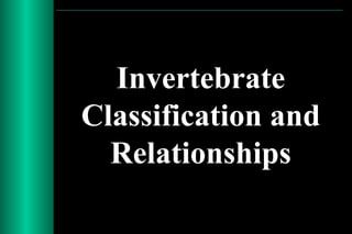 Invertebrate
Classification and
  Relationships
 