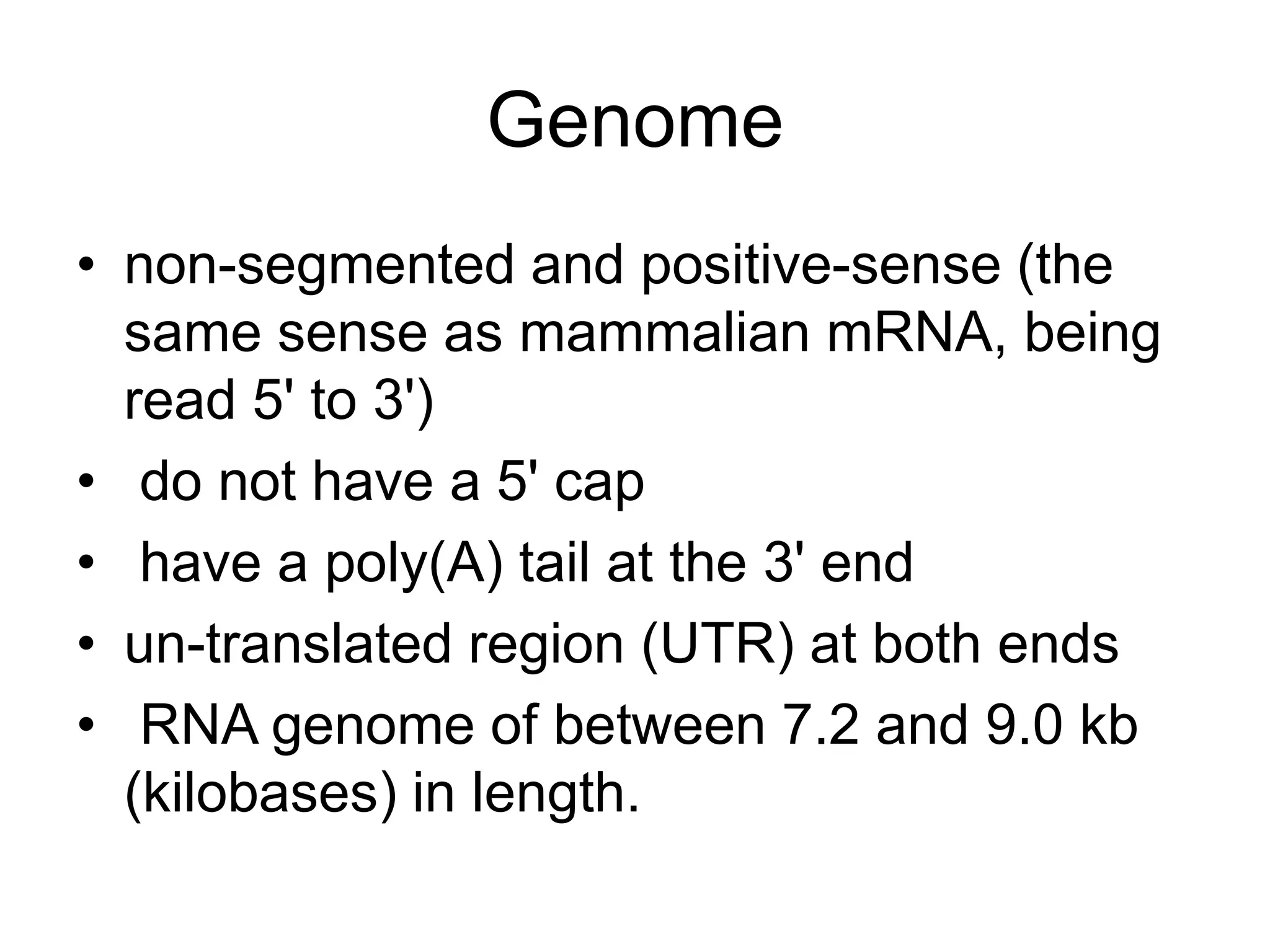 Genome
• non-segmented and positive-sense (the
same sense as mammalian mRNA, being
read 5' to 3')
• do not have a 5' cap
• have a poly(A) tail at the 3' end
• un-translated region (UTR) at both ends
• RNA genome of between 7.2 and 9.0 kb
(kilobases) in length.
 