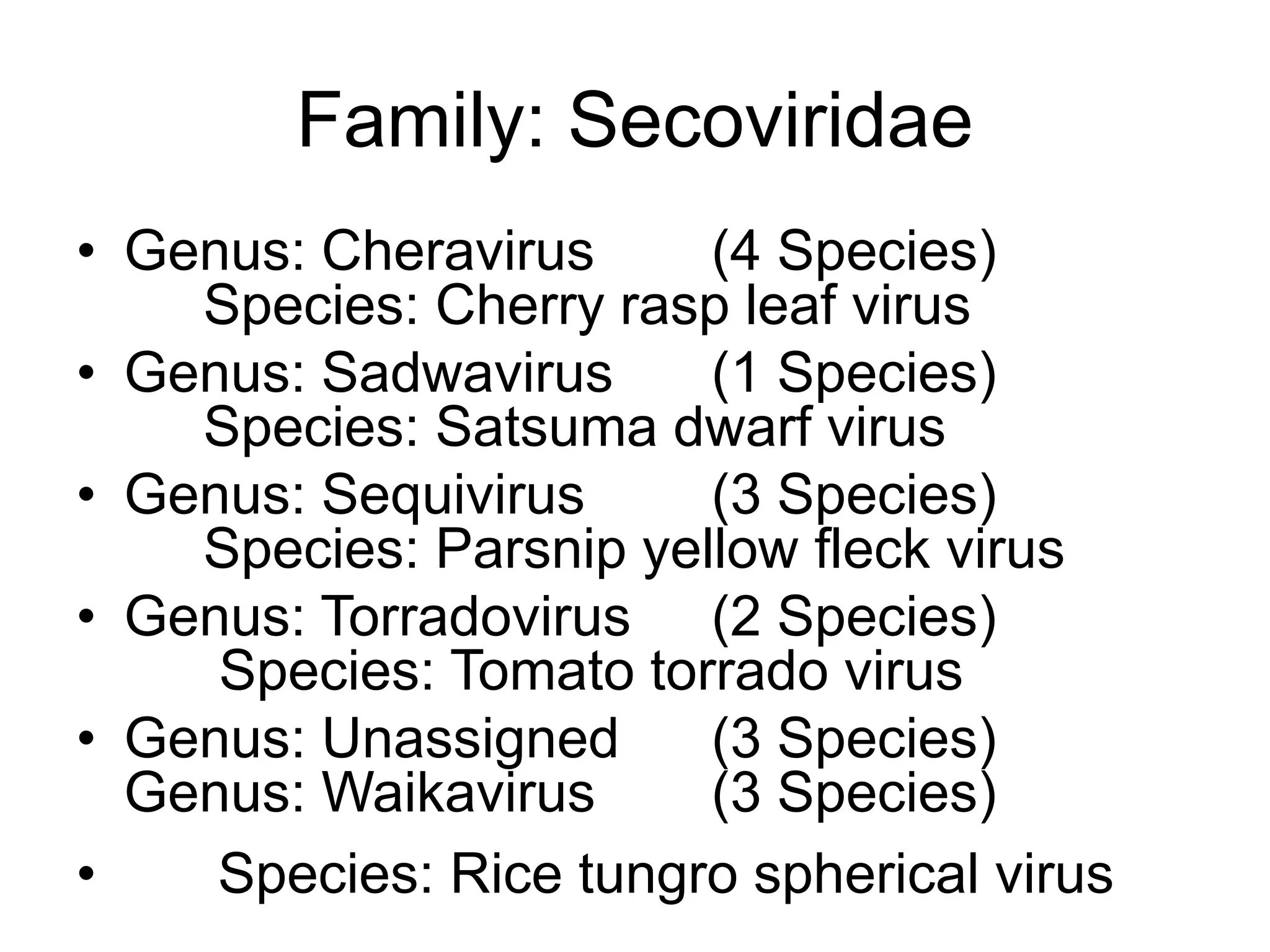 Family: Secoviridae
• Genus: Cheravirus (4 Species)
Species: Cherry rasp leaf virus
• Genus: Sadwavirus (1 Species)
Species: Satsuma dwarf virus
• Genus: Sequivirus (3 Species)
Species: Parsnip yellow fleck virus
• Genus: Torradovirus (2 Species)
Species: Tomato torrado virus
• Genus: Unassigned (3 Species)
Genus: Waikavirus (3 Species)
• Species: Rice tungro spherical virus
 