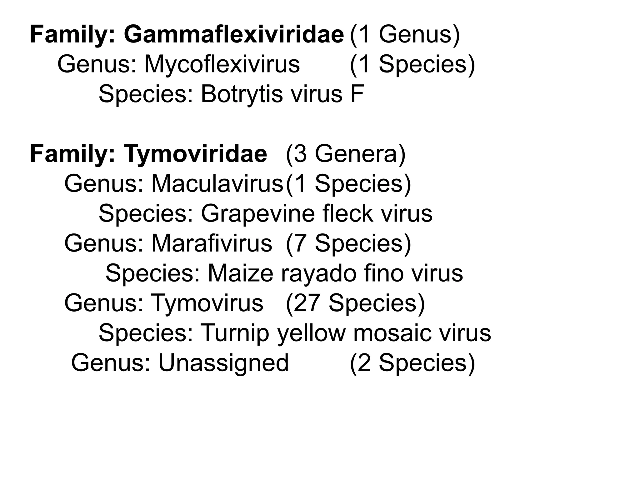 Family: Gammaflexiviridae (1 Genus)
Genus: Mycoflexivirus (1 Species)
Species: Botrytis virus F
Family: Tymoviridae (3 Genera)
Genus: Maculavirus(1 Species)
Species: Grapevine fleck virus
Genus: Marafivirus (7 Species)
Species: Maize rayado fino virus
Genus: Tymovirus (27 Species)
Species: Turnip yellow mosaic virus
Genus: Unassigned (2 Species)
 