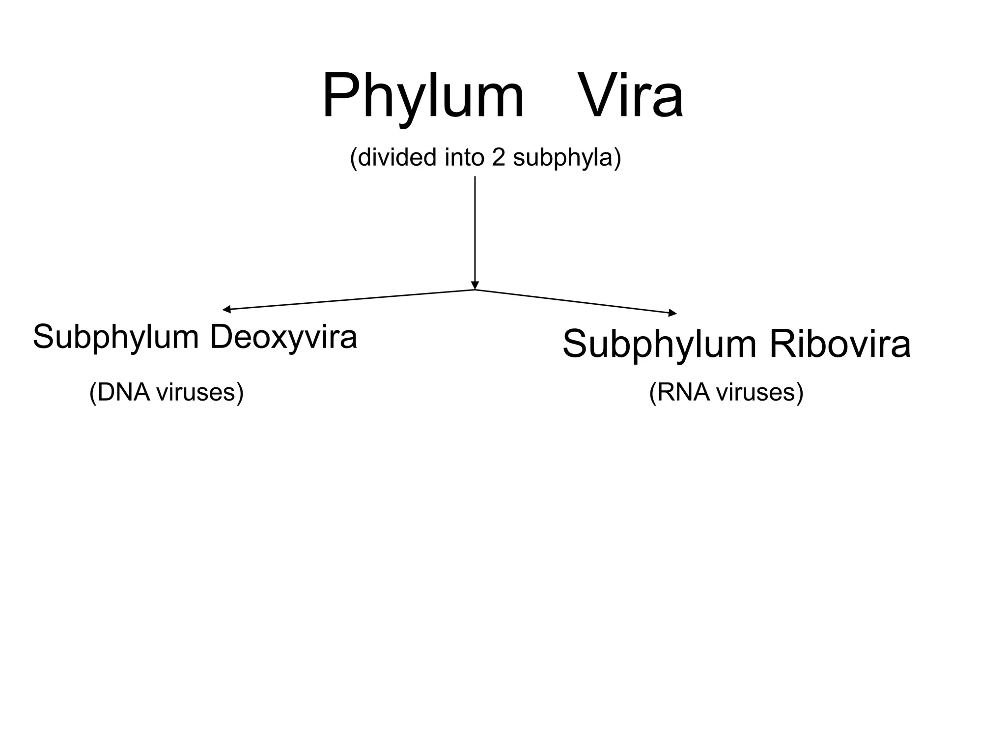 Phylum Vira
(divided into 2 subphyla)
Subphylum Deoxyvira Subphylum Ribovira
(DNA viruses) (RNA viruses)
 