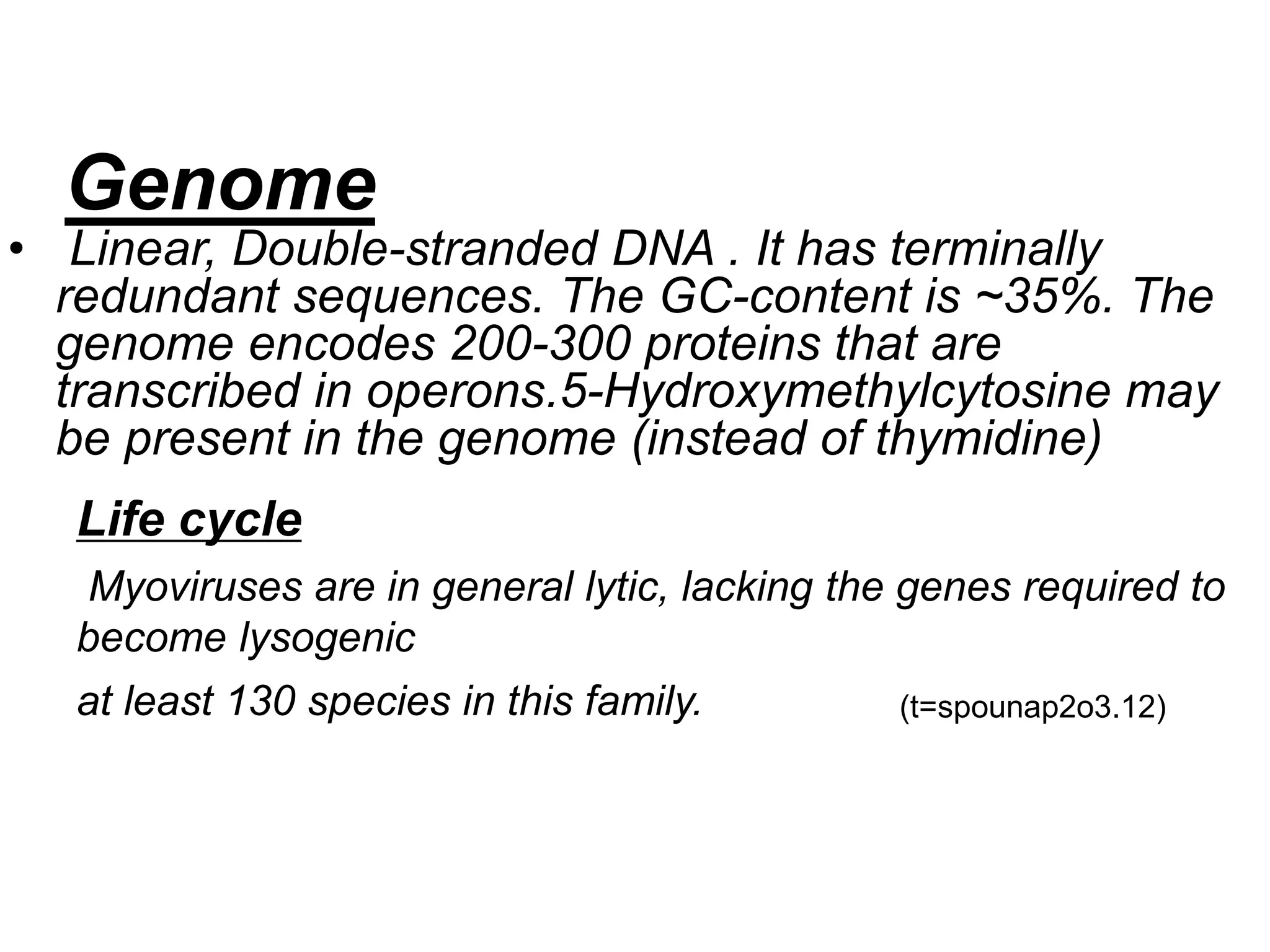 Genome
• Linear, Double-stranded DNA . It has terminally
redundant sequences. The GC-content is ~35%. The
genome encodes 200-300 proteins that are
transcribed in operons.5-Hydroxymethylcytosine may
be present in the genome (instead of thymidine)
Life cycle
Myoviruses are in general lytic, lacking the genes required to
become lysogenic
(t=spounap2o3.12)at least 130 species in this family.
 