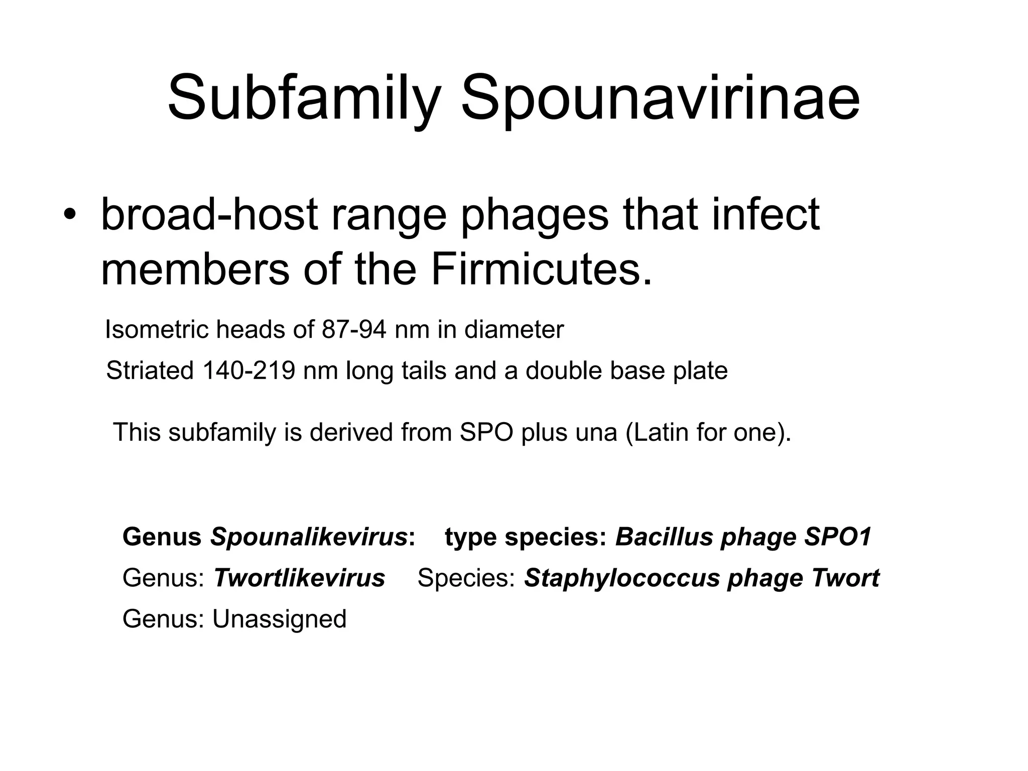 Subfamily Spounavirinae
• broad-host range phages that infect
members of the Firmicutes.
Isometric heads of 87-94 nm in diameter
Striated 140-219 nm long tails and a double base plate
This subfamily is derived from SPO plus una (Latin for one).
Genus Spounalikevirus: type species: Bacillus phage SPO1
Genus: Twortlikevirus
Genus: Unassigned
Species: Staphylococcus phage Twort
 