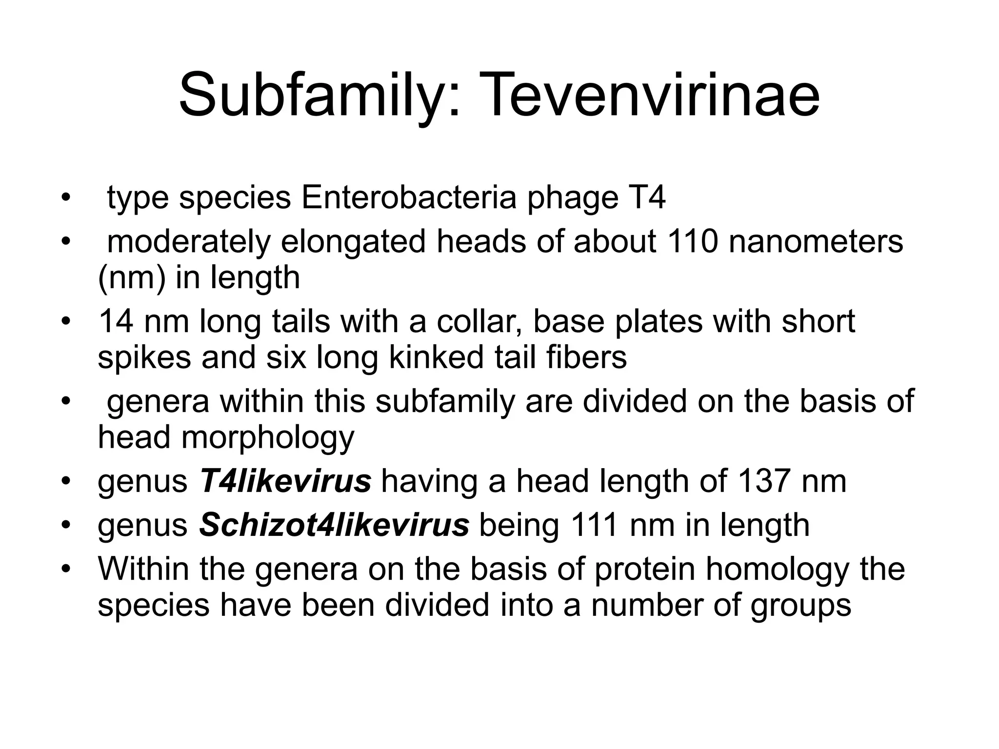 Subfamily: Tevenvirinae
• type species Enterobacteria phage T4
• moderately elongated heads of about 110 nanometers
(nm) in length
• 14 nm long tails with a collar, base plates with short
spikes and six long kinked tail fibers
• genera within this subfamily are divided on the basis of
head morphology
• genus T4likevirus having a head length of 137 nm
• genus Schizot4likevirus being 111 nm in length
• Within the genera on the basis of protein homology the
species have been divided into a number of groups
 