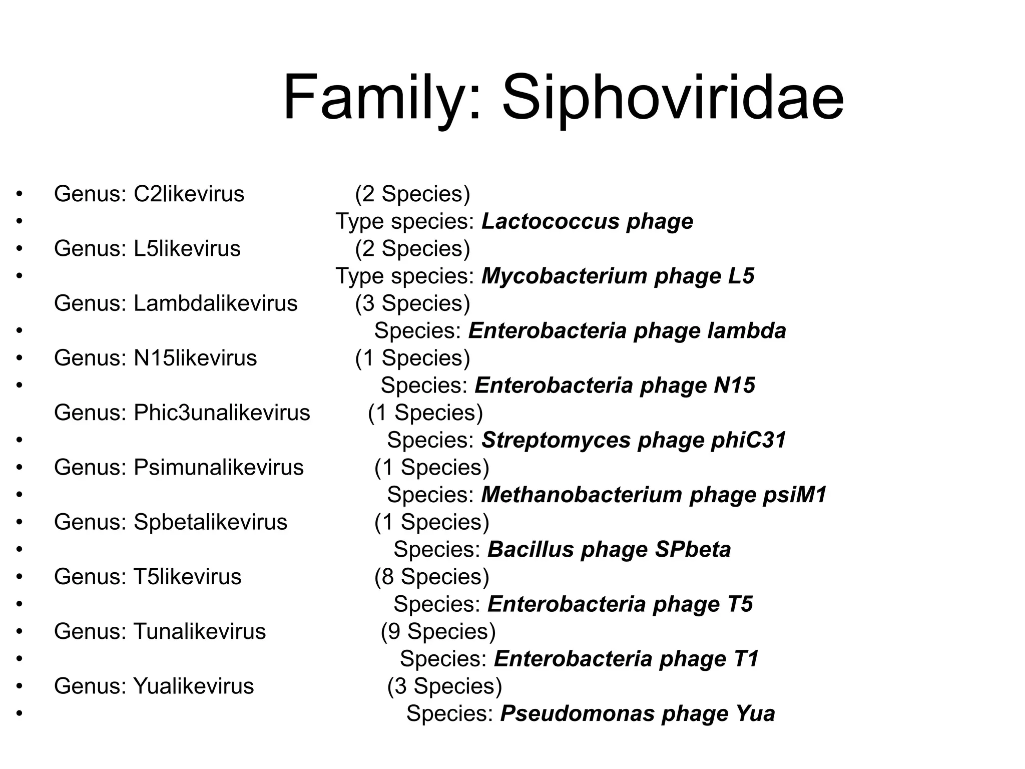 Family: Siphoviridae
• Genus: C2likevirus (2 Species)
• Type species: Lactococcus phage
• Genus: L5likevirus (2 Species)
• Type species: Mycobacterium phage L5
Genus: Lambdalikevirus (3 Species)
• Species: Enterobacteria phage lambda
• Genus: N15likevirus (1 Species)
• Species: Enterobacteria phage N15
Genus: Phic3unalikevirus (1 Species)
• Species: Streptomyces phage phiC31
• Genus: Psimunalikevirus (1 Species)
• Species: Methanobacterium phage psiM1
• Genus: Spbetalikevirus (1 Species)
• Species: Bacillus phage SPbeta
• Genus: T5likevirus (8 Species)
• Species: Enterobacteria phage T5
• Genus: Tunalikevirus (9 Species)
• Species: Enterobacteria phage T1
• Genus: Yualikevirus (3 Species)
• Species: Pseudomonas phage Yua
 