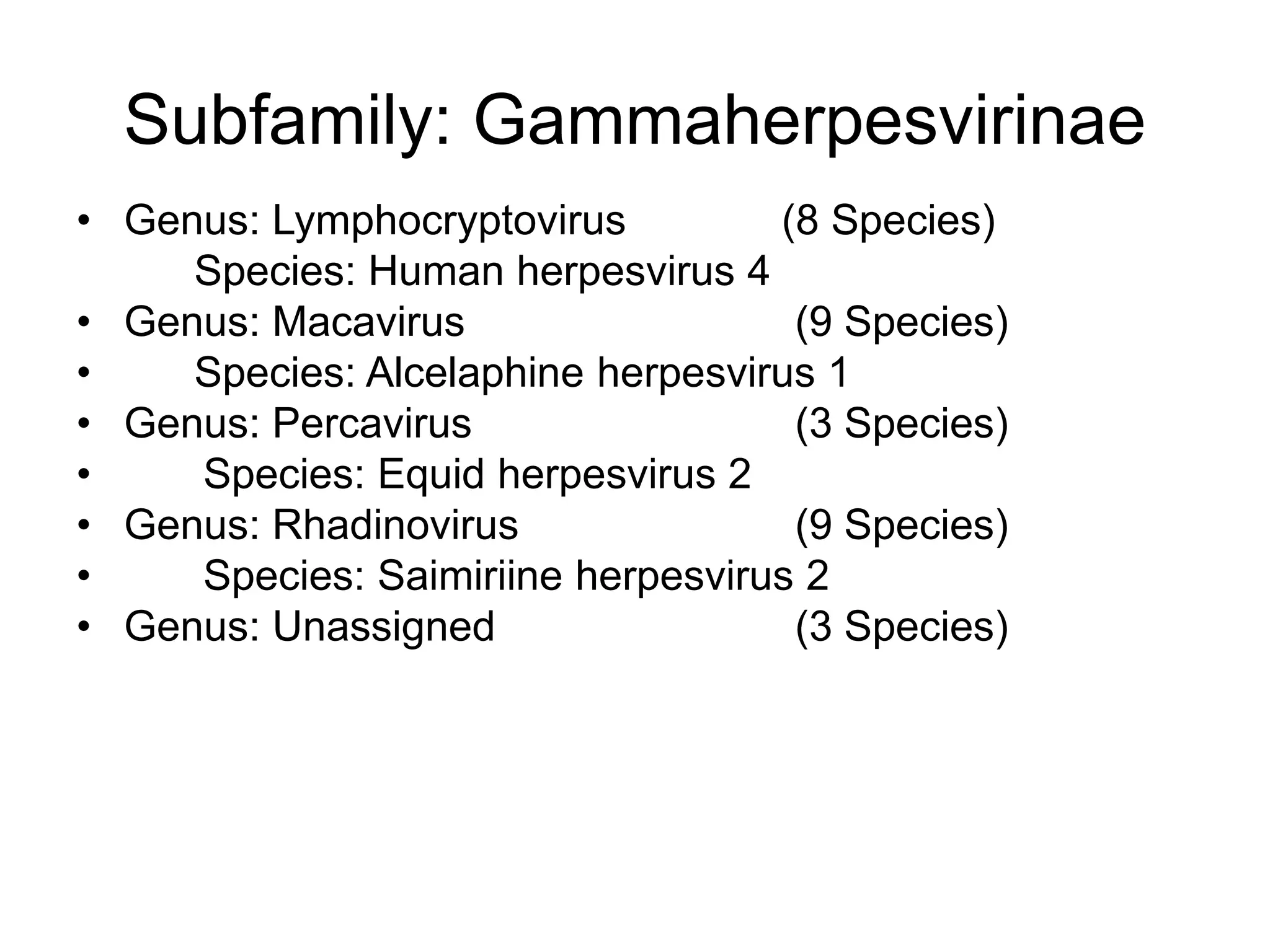 Subfamily: Gammaherpesvirinae
• Genus: Lymphocryptovirus (8 Species)
Species: Human herpesvirus 4
• Genus: Macavirus (9 Species)
• Species: Alcelaphine herpesvirus 1
• Genus: Percavirus (3 Species)
• Species: Equid herpesvirus 2
• Genus: Rhadinovirus (9 Species)
• Species: Saimiriine herpesvirus 2
• Genus: Unassigned (3 Species)
 