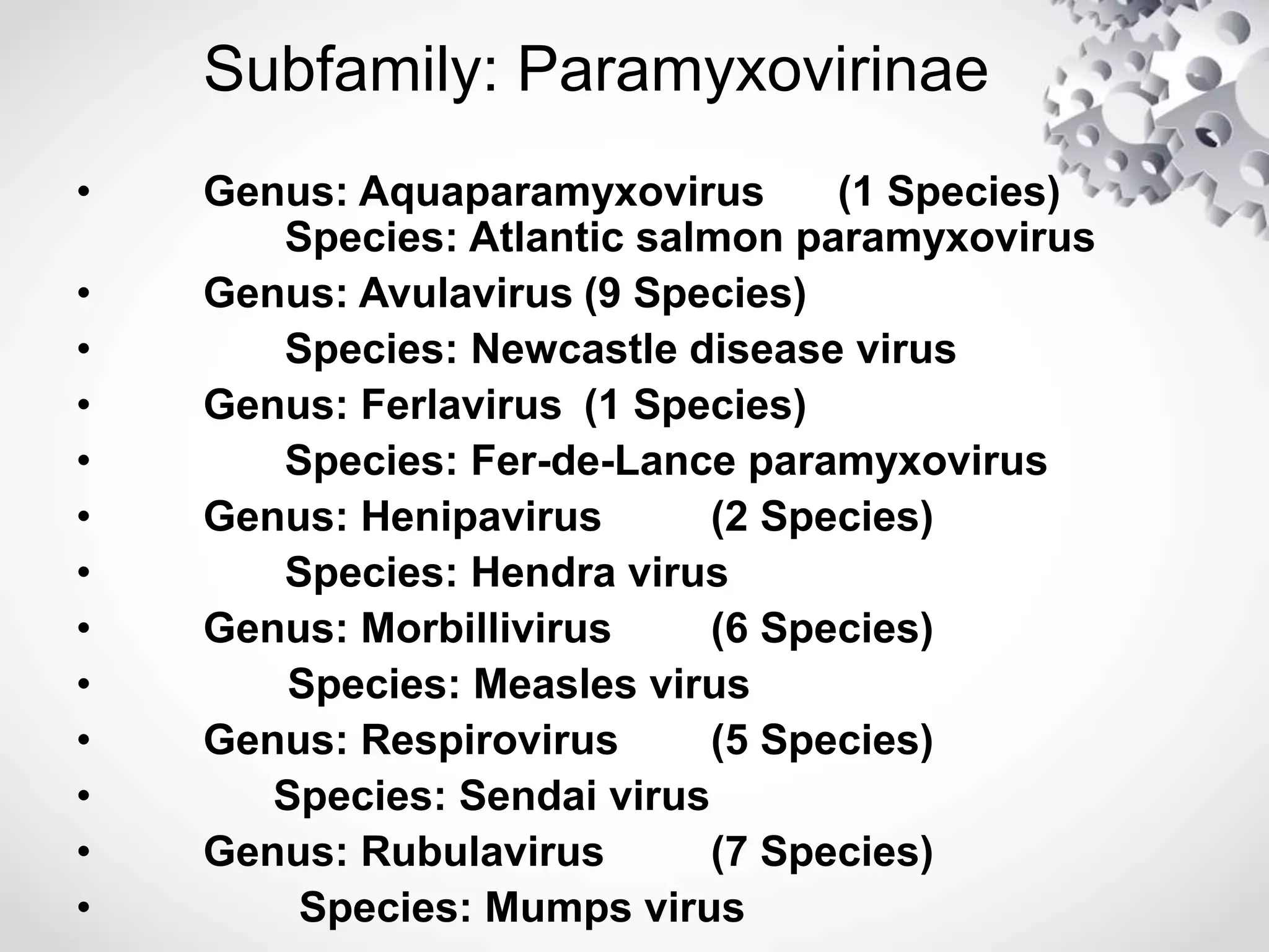Subfamily: Paramyxovirinae
• Genus: Aquaparamyxovirus (1 Species)
Species: Atlantic salmon paramyxovirus
• Genus: Avulavirus (9 Species)
• Species: Newcastle disease virus
• Genus: Ferlavirus (1 Species)
• Species: Fer-de-Lance paramyxovirus
• Genus: Henipavirus (2 Species)
• Species: Hendra virus
• Genus: Morbillivirus (6 Species)
• Species: Measles virus
• Genus: Respirovirus (5 Species)
• Species: Sendai virus
• Genus: Rubulavirus (7 Species)
• Species: Mumps virus
 