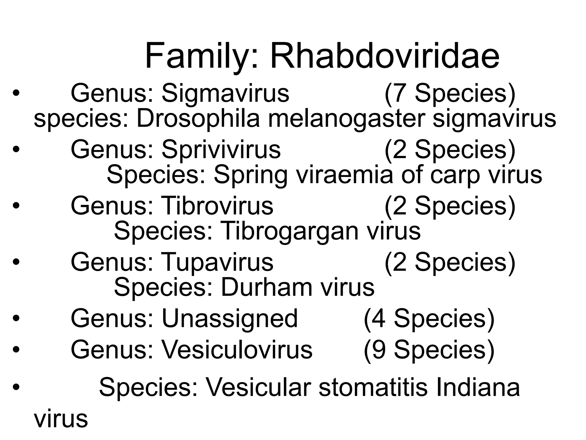 Family: Rhabdoviridae
• Genus: Sigmavirus (7 Species)
species: Drosophila melanogaster sigmavirus
• Genus: Sprivivirus (2 Species)
Species: Spring viraemia of carp virus
• Genus: Tibrovirus (2 Species)
Species: Tibrogargan virus
• Genus: Tupavirus (2 Species)
Species: Durham virus
• Genus: Unassigned (4 Species)
• Genus: Vesiculovirus (9 Species)
• Species: Vesicular stomatitis Indiana
virus
 