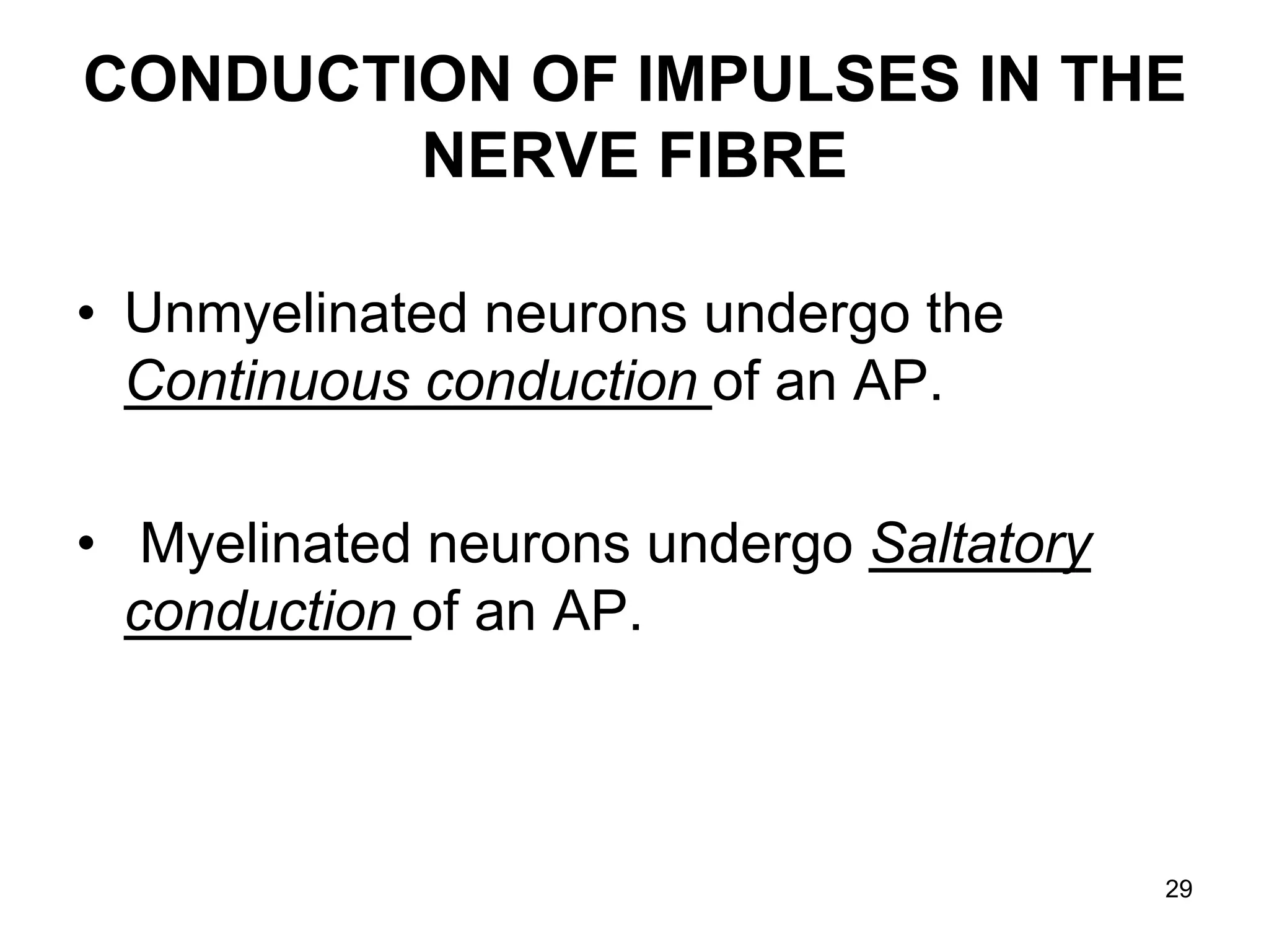 CONDUCTION OF IMPULSES IN THE
NERVE FIBRE
• Unmyelinated neurons undergo the
Continuous conduction of an AP.
• Myelinated neurons undergo Saltatory
conduction of an AP.
29
 