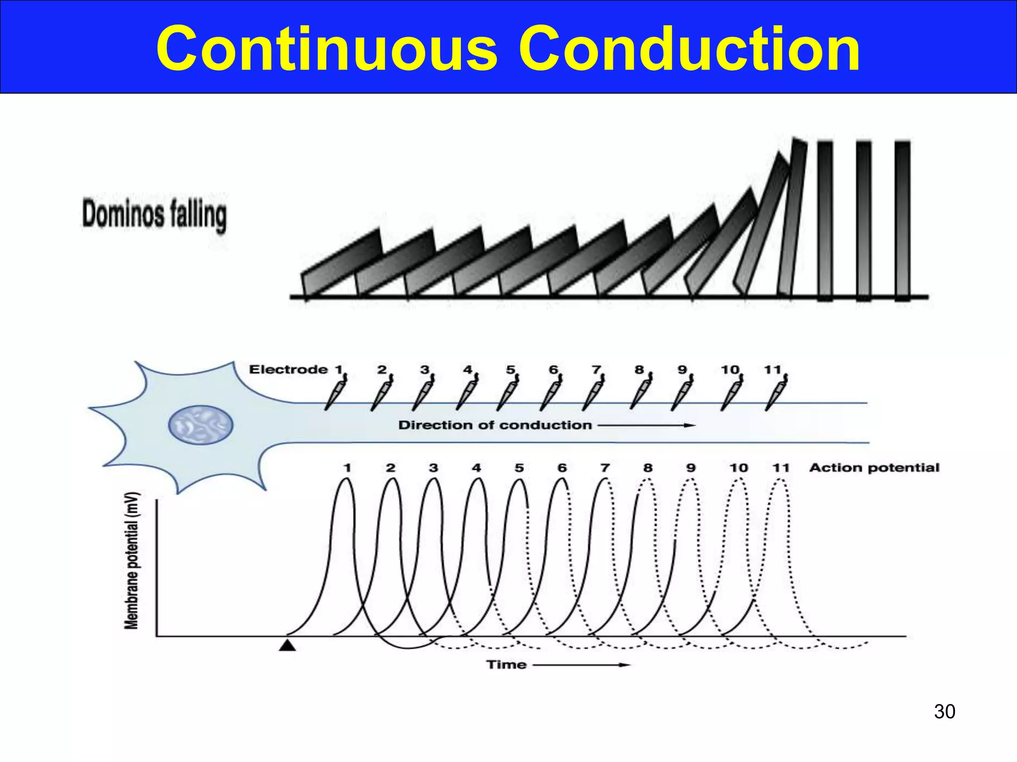 Continuous Conduction
30
 