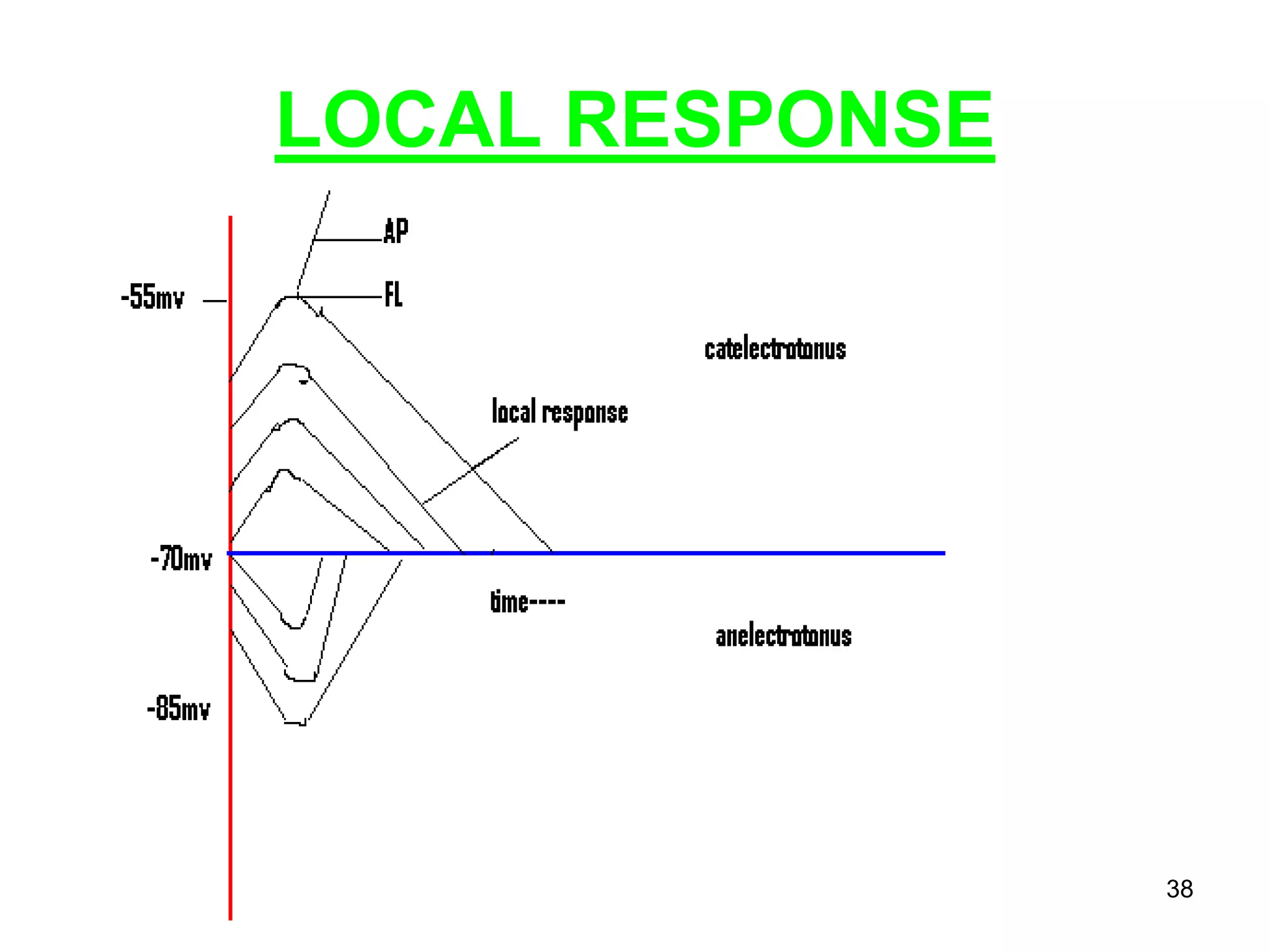 LOCAL RESPONSE
38
 