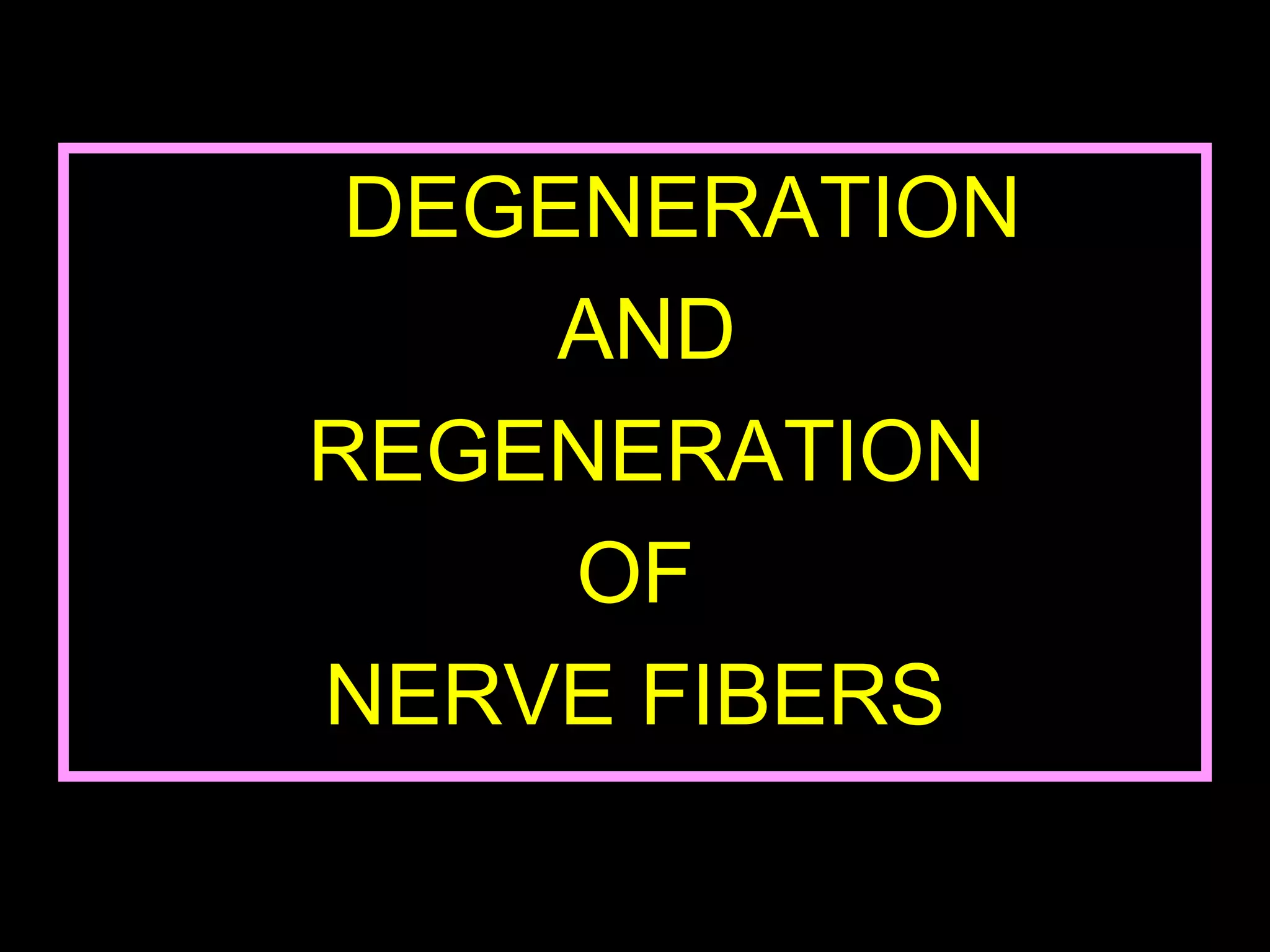 DEGENERATION
AND
REGENERATION
OF
NERVE FIBERS
40
 
