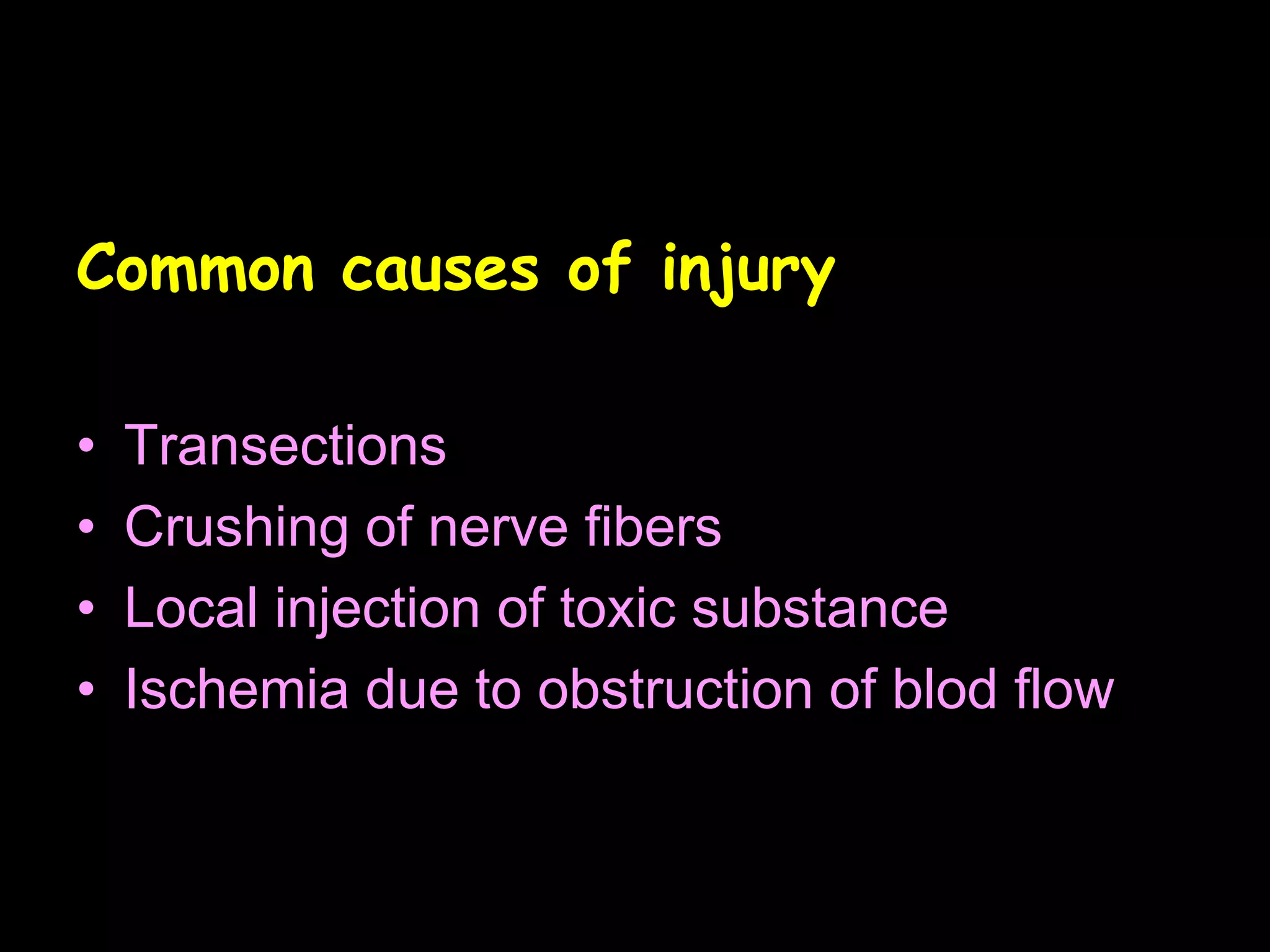 Common causes of injury
• Transections
• Crushing of nerve fibers
• Local injection of toxic substance
• Ischemia due to obstruction of blod flow
42
 
