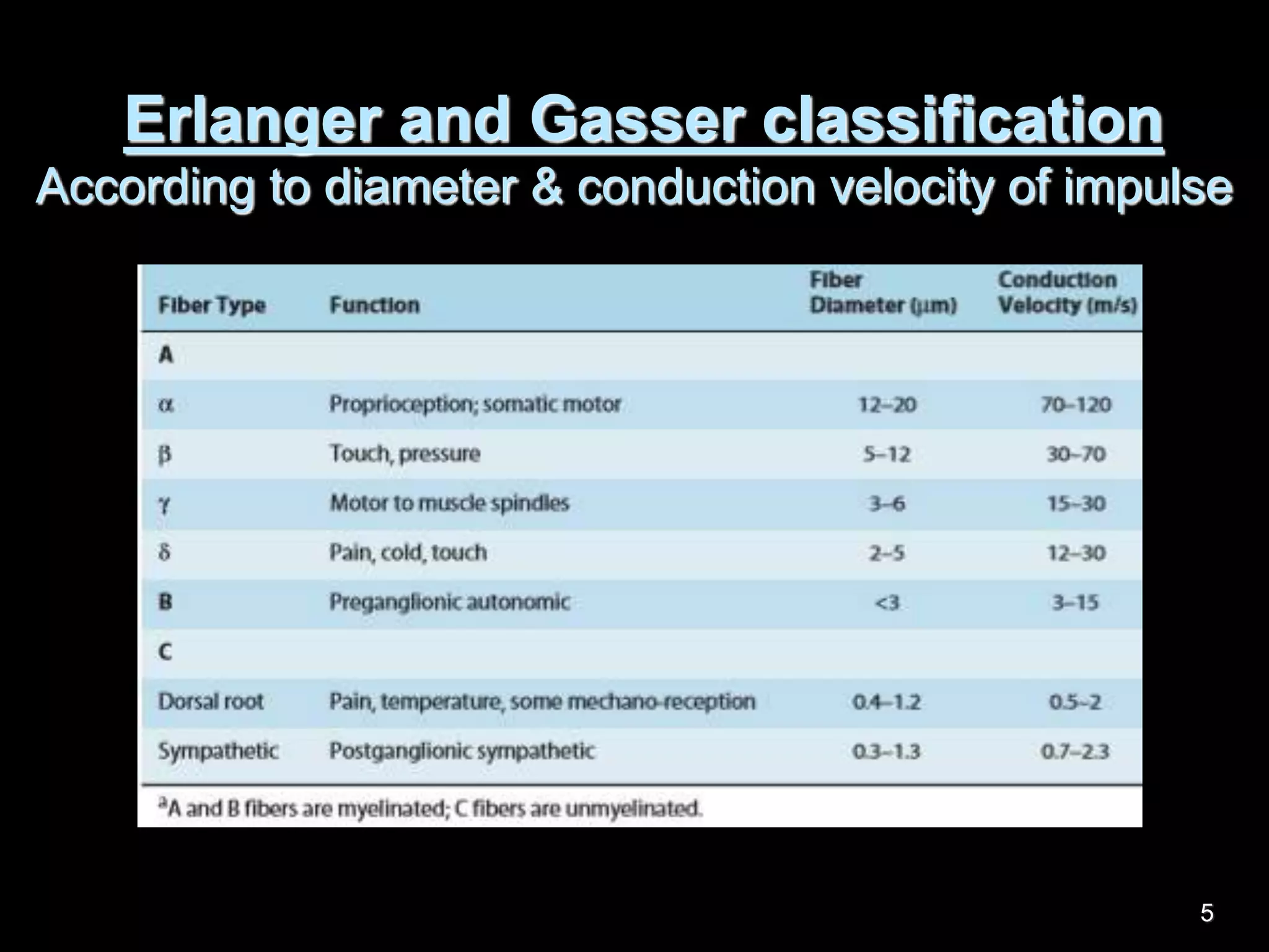 Erlanger and Gasser classification
According to diameter & conduction velocity of impulse
5
 