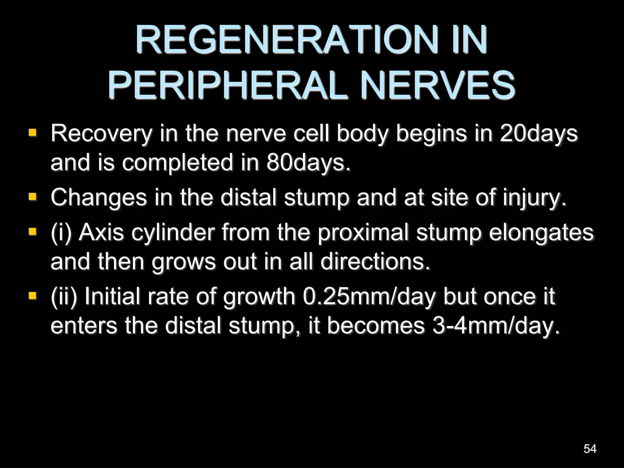 REGENERATION IN
PERIPHERAL NERVES
 Recovery in the nerve cell body begins in 20days
and is completed in 80days.
 Changes in the distal stump and at site of injury.
 (i) Axis cylinder from the proximal stump elongates
and then grows out in all directions.
 (ii) Initial rate of growth 0.25mm/day but once it
enters the distal stump, it becomes 3-4mm/day.
54
 