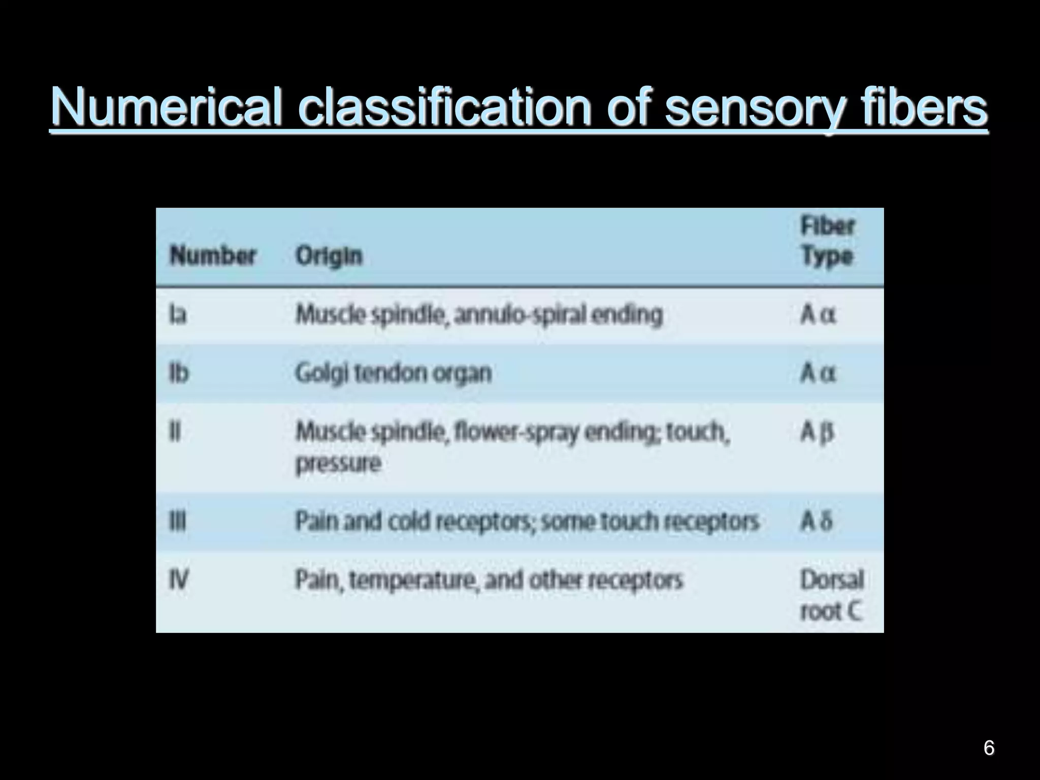 Numerical classification of sensory fibers
6
 