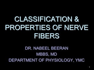 CLASSIFICATION &
PROPERTIES OF NERVE
FIBERS
DR. NABEEL BEERAN
MBBS, MD
DEPARTMENT OF PHYSIOLOGY, YMC
1
 