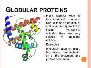 GLOBULAR PROTEINS




these proteins more or
less spherical in nature.
Due to their distribution of
amino acids (hydrophobic
inside,
hydrophillic
outside) they are very
soluble
in
aqueous
solution.
Examples
Myoglobin, albumin, globu
lin, casein, haemoglobin,
all of the enzymes, and
protein hormones.

 