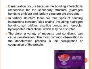 Denaturation occurs because the bonding interactions
responsible for the secondary structure (hydrogen
bonds to amides) and tertiary structure are disrupted.
 In tertiary structure there are four types of bonding
interactions between "side chains" including: hydrogen
bonding, salt bridges, disulfide bonds, and non-polar
hydrophobic interactions. which may be disrupted.
 Therefore, a variety of reagents and conditions can
cause denaturation. The most common observation in
the denaturation process is the precipitation or
coagulation of the protein.


 