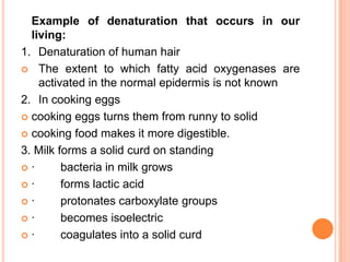 Example of denaturation that occurs in our
living:
1. Denaturation of human hair
 The extent to which fatty acid oxygenases are
activated in the normal epidermis is not known
2. In cooking eggs
 cooking eggs turns them from runny to solid
 cooking food makes it more digestible.
3. Milk forms a solid curd on standing
·
bacteria in milk grows
·
forms lactic acid
·
protonates carboxylate groups
·
becomes isoelectric
·
coagulates into a solid curd

 