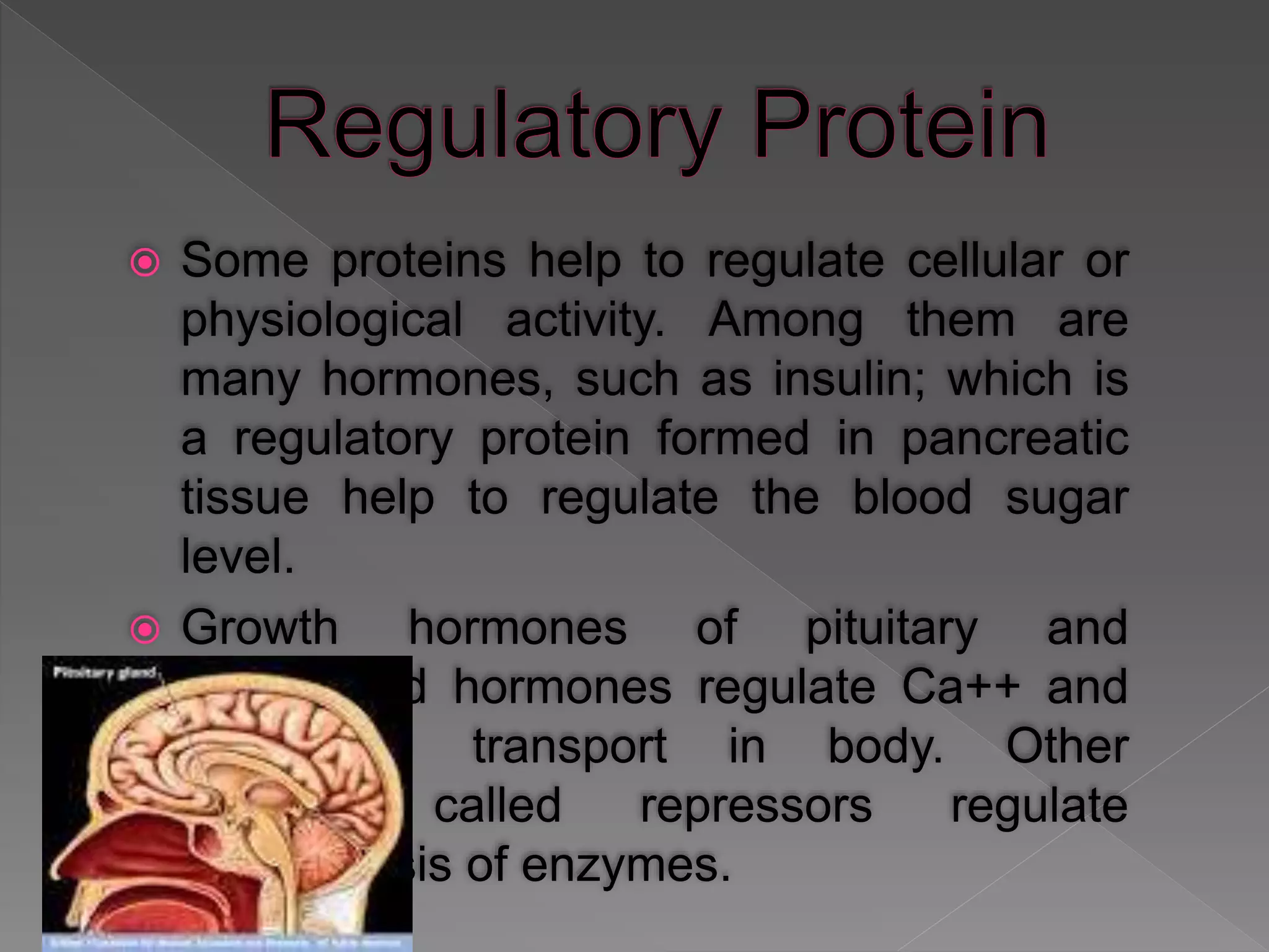  Some proteins help to regulate cellular or
physiological activity. Among them are
many hormones, such as insulin; which is
a regulatory protein formed in pancreatic
tissue help to regulate the blood sugar
level.
 Growth hormones of pituitary and
parathyroid hormones regulate Ca++ and
phosphate transport in body. Other
proteins called repressors regulate
biosynthesis of enzymes.
 