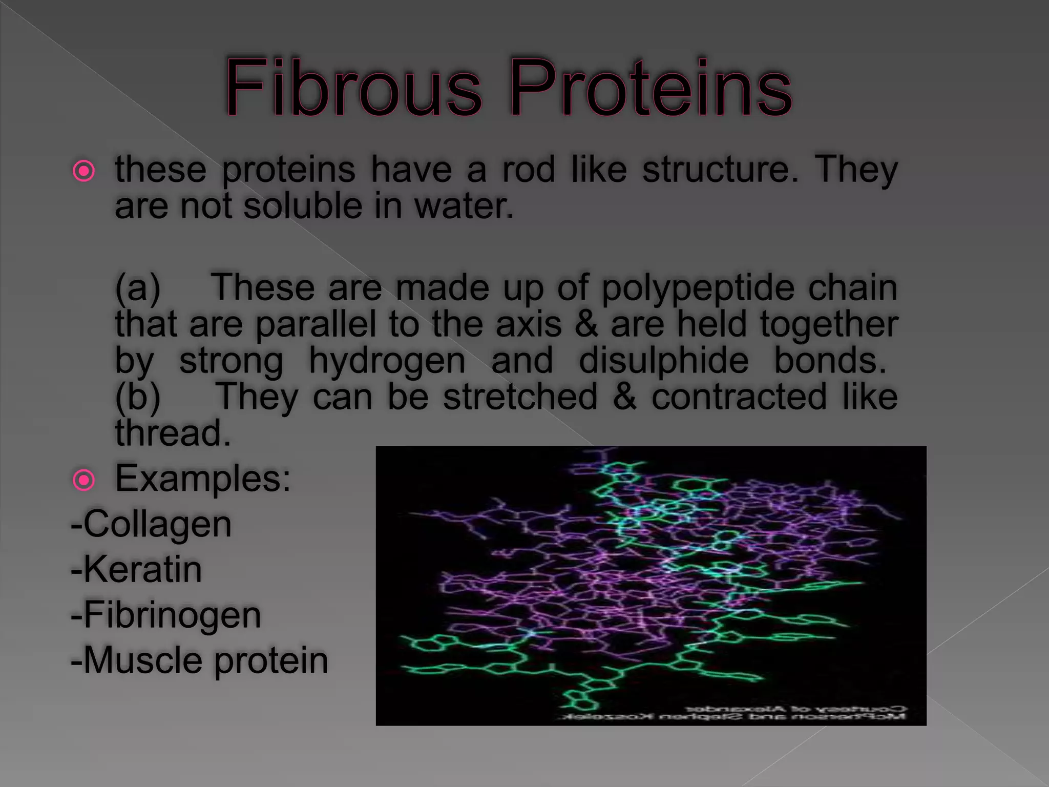  these proteins have a rod like structure. They
are not soluble in water.
(a) These are made up of polypeptide chain
that are parallel to the axis & are held together
by strong hydrogen and disulphide bonds.
(b) They can be stretched & contracted like
thread.
 Examples:
-Collagen
-Keratin
-Fibrinogen
-Muscle protein
 