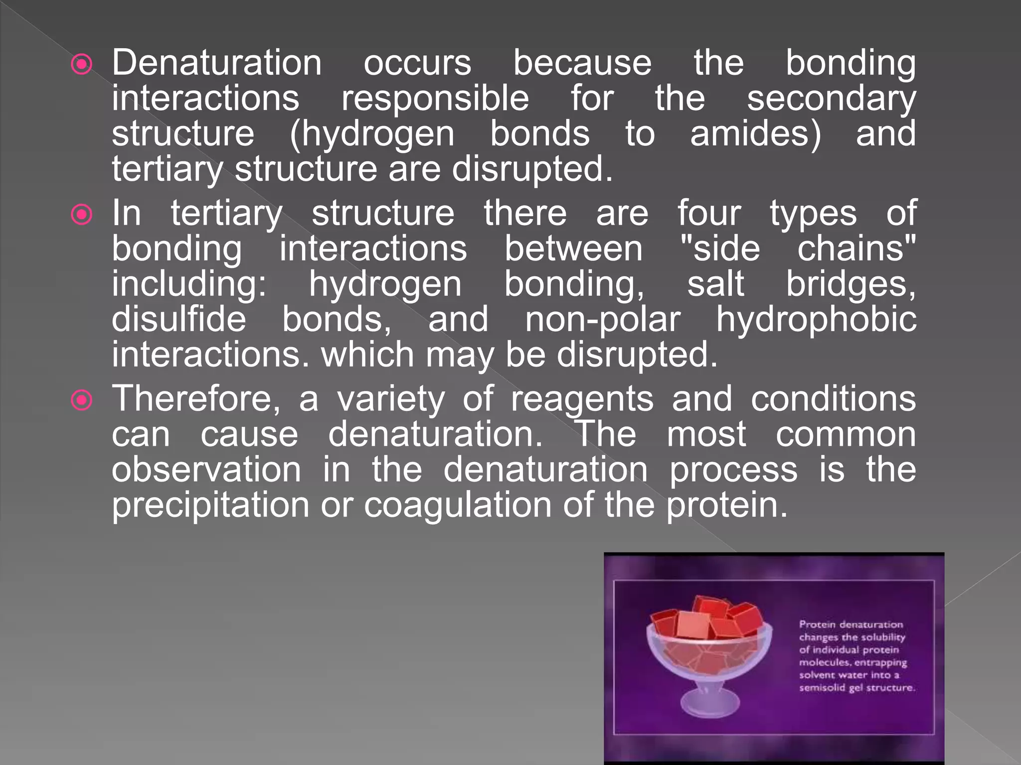  Denaturation occurs because the bonding
interactions responsible for the secondary
structure (hydrogen bonds to amides) and
tertiary structure are disrupted.
 In tertiary structure there are four types of
bonding interactions between "side chains"
including: hydrogen bonding, salt bridges,
disulfide bonds, and non-polar hydrophobic
interactions. which may be disrupted.
 Therefore, a variety of reagents and conditions
can cause denaturation. The most common
observation in the denaturation process is the
precipitation or coagulation of the protein.
 