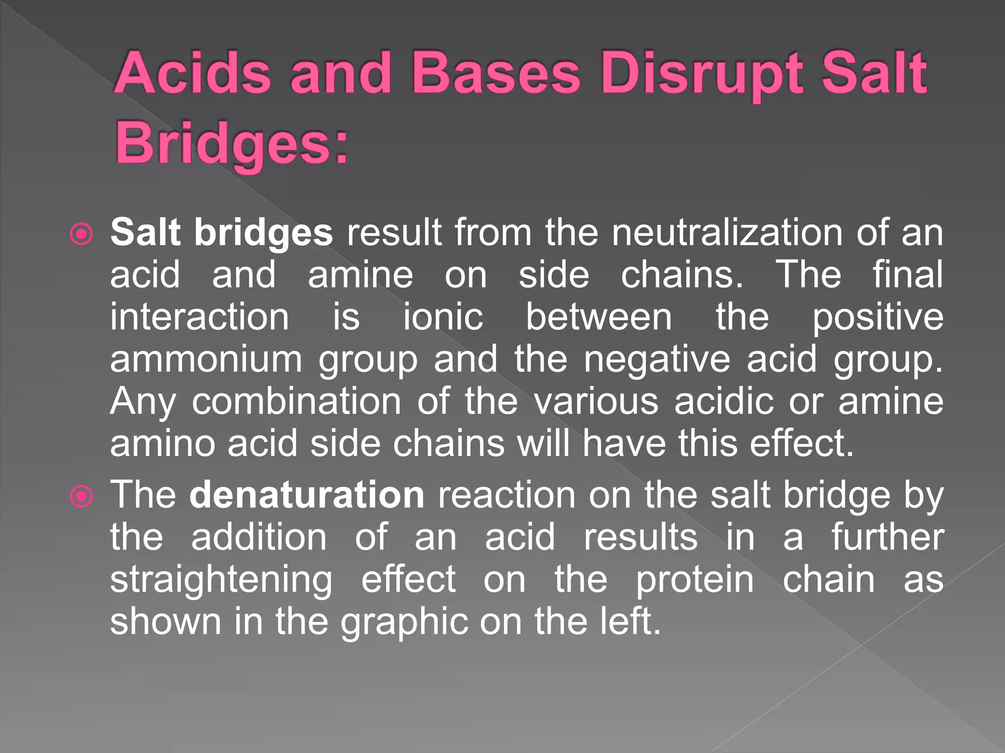  Salt bridges result from the neutralization of an
acid and amine on side chains. The final
interaction is ionic between the positive
ammonium group and the negative acid group.
Any combination of the various acidic or amine
amino acid side chains will have this effect.
 The denaturation reaction on the salt bridge by
the addition of an acid results in a further
straightening effect on the protein chain as
shown in the graphic on the left.
 