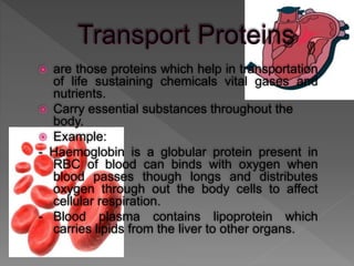  are those proteins which help in transportation
of life sustaining chemicals vital gases and
nutrients.
 Carry essential substances throughout the
body.
 Example:
- Haemoglobin is a globular protein present in
RBC of blood can binds with oxygen when
blood passes though longs and distributes
oxygen through out the body cells to affect
cellular respiration.
- Blood plasma contains lipoprotein which
carries lipids from the liver to other organs.
 