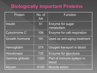 Protein No. of
AA
Function
Insulin 51 Enzyme for sugar
metabolism
Cytochrome C 104 Enzyme for cell respiration
Growth hormone 191 Used as anti-aging treatment
Hemoglobin 574 Oxygen transport in blood
Hexokinase 730 Enzyme for glycolysis
Gamma globulin 1320 Part of immune system in
blood
Myosin 6100 Muscle action
 
