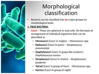 classification and nomenclature of bacteria, viruses, fungi and ...