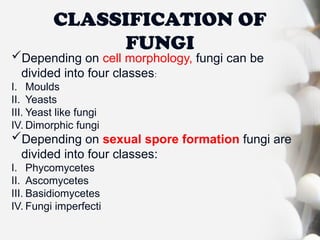 classification and nomenclature of bacteria, viruses, fungi and ...