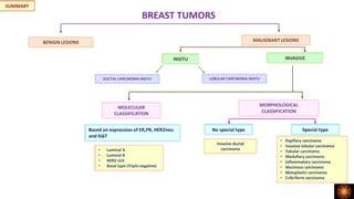 BREAST TUMORS
BENIGN LESIONS MALIGNANT LESIONS
INSITU INVASIVE
MOLECULAR
CLASSIFICATION
MORPHOLOGICAL
CLASSIFICATION
Based on expression of ER,PR, HER2neu
and Ki67
No special type Special type
Invasive ductal
carcinoma
• Papillary carcinoma
• Invasive lobular carcinoma
• Tubular carcinoma
• Medullary carcinoma
• Inflammatory carcinoma
• Mucinous carcinoma
• Metaplastic carcinoma
• Cribriform carcinoma
• Luminal A
• Luminal B
• HER2 rich
• Basal type (Triple negative)
DUCTAL CARCINOMA INSITU LOBULAR CARCINOMA INSITU
SUMMARY
 