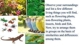 Observe your surroundings
and list a few different
living things you will find,
such as flowering plants,
non-flowering plants,
insects, birds and fish.
Now, try to arrange them
in groups on the basis of
similarities and differences
among them.
 