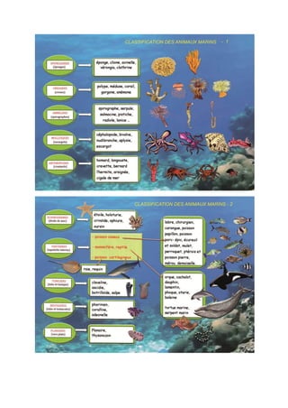 Classification des animaux marins