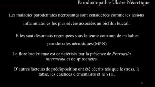 Parodontopathie Ulcéro-Nécrotique
Les maladies parodontales nécrosantes sont considérées comme les lésions
inflammatoires les plus sévère associées au biofilm buccal.
Elles sont désormais regroupées sous le terme commun de maladies
parodontales nécrotiques (MPN)
D’autres facteurs de prédisposition ont été décrits tels que le stress, le
tabac, les carences élémentaires et le VIH.
La ﬂore bactérienne est caractérisée par la présence de Prevotella
intermedia et de spirochètes.
49
 