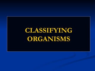CLASSIFYING ORGANISMS 