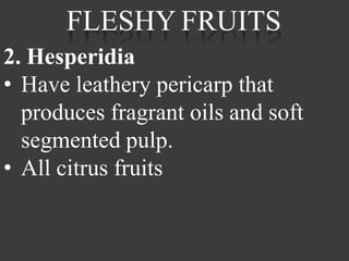 classification fruit ppt.pptx