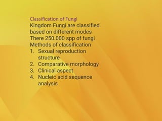 Classification of Fungi
Kingdom Fungi are classified
based on different modes
There 250.000 spp of fungi
Methods of classification
1. Sexual reproduction
structure
2. Comparative morphology
3. Clinical aspect
4. Nucleic acid sequence
analysis
 