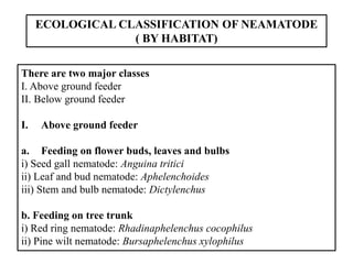 Nosode Classification Classification and general-characters.pdf