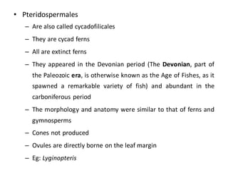 • Pteridospermales
– Are also called cycadofilicales
– They are cycad ferns
– All are extinct ferns
– They appeared in the Devonian period (The Devonian, part of
the Paleozoic era, is otherwise known as the Age of Fishes, as it
spawned a remarkable variety of fish) and abundant in the
carboniferous period
– The morphology and anatomy were similar to that of ferns and
gymnosperms
– Cones not produced
– Ovules are directly borne on the leaf margin
– Eg: Lyginopteris
 