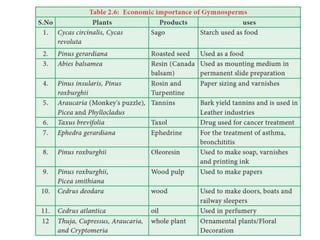 Classification gymnosperms.............pdf