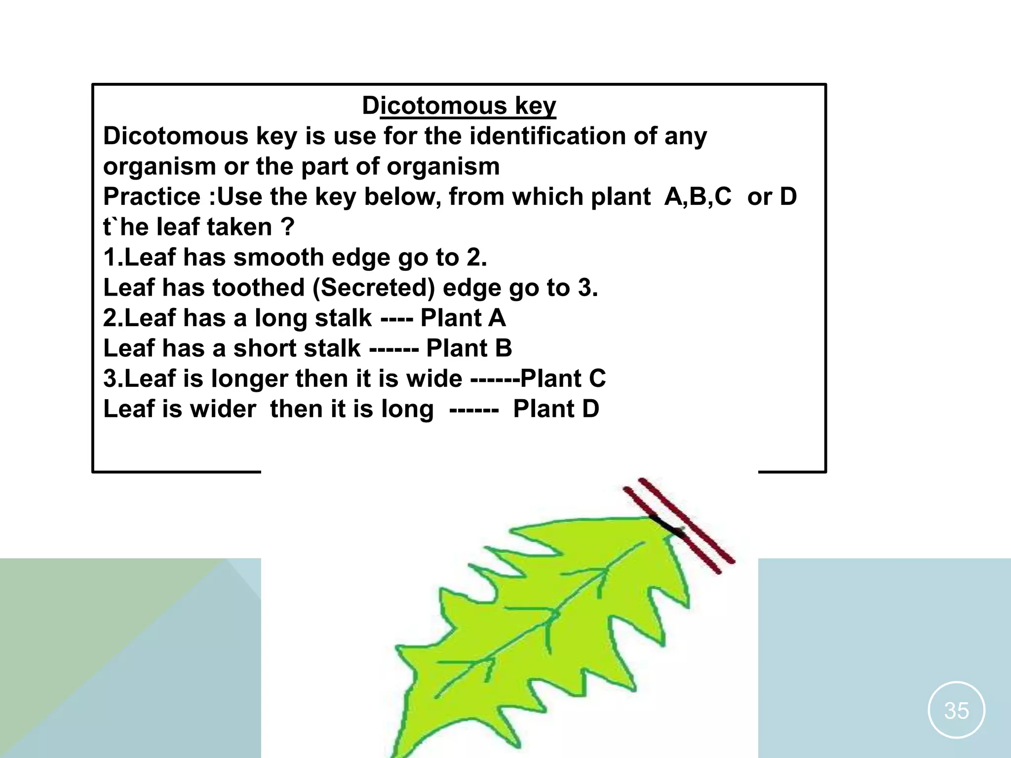 Classification of living organism. IGCSE O level biology | PPTX