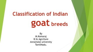 Classification of Indian
goat breeds
By
M.Kamaraj
B.Sc Agrclture
Annamalai university
TamilNadu.
 
