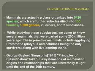  Mammals are actually a class organized into 5420
species; which are further sub-classified into 135
families, 1,000 genera, 29 orders, and 2 subclasses.
 While studying these subclasses, we come to know
several mammals that were parted some 200-million
years ago. These primitive mammals include egg-laying
Prototheria (platypus and echidnas being the only
survivors) along with live-bearing theria.
 George Gaylord Simpson's[1945] "Principles of
Classification’’ laid out a systematics of mammalian
origins and relationships that was universally taught
until the end of the 20th century.
 
